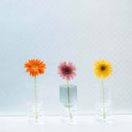 [Life with Glass Series] Glass Flower Vase